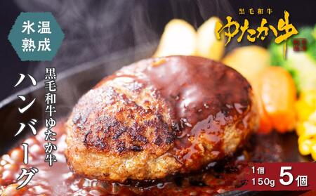 氷温熟成和牛　黒毛和牛ゆたか牛ハンバーグセット【ハンバーグ 愛知県 豊田市】