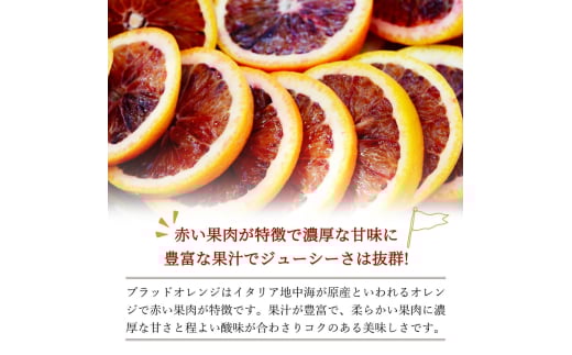 希少な柑橘!紀州有田産ブラッドオレンジ約5kg 【ご家庭用】※2026年3月上旬頃～3月中旬頃に順次発送 (お届け日指定不可) 【uot853】