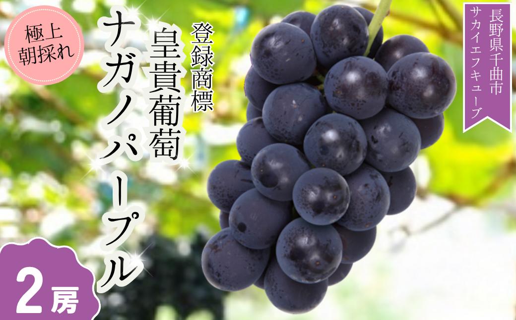 
            ぶどう ナガノパープル 特秀品 加湿ハウス栽培 2房 ｜ 葡萄 黒ぶどう フルーツ 果物 千曲市 長野県産 信州
          