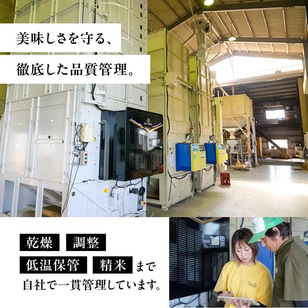 ≪令和7年度産≫ プロが厳選 玄米 ハツシモ 5kg｜玄米