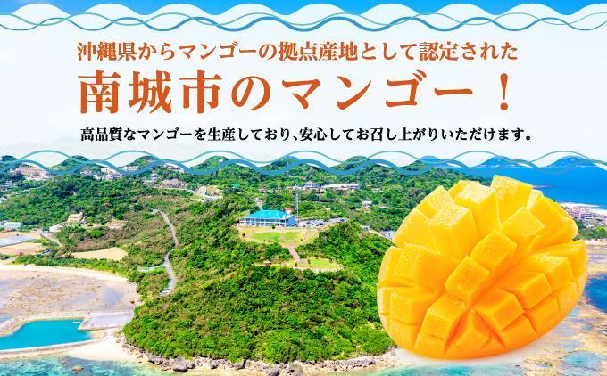 マンゴー1.5kg　贈答用
