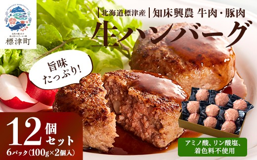 北海道産 生 ハンバーグ 12個 (6パック) セット ( 1パック 100g ×2 ) 国産 無添加 おすすめ 保存料不使用 牛肉 豚肉 国産ハンバーグ 冷凍ハンバーグ 合いびき 合い挽き あいびき ギフト 小分け 人気 便利 冷凍 はんばーぐ ぽーく ぎゅうにく 肉 ひき肉 hannba-gu お弁当 おかず 惣菜 お惣菜 家庭用 子ども 子供 こども 北海道 標津町
