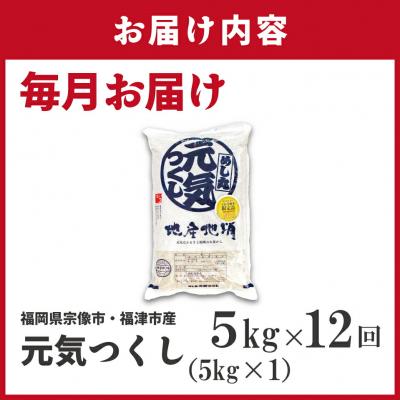 ふるさと納税 宗像市 令和7年産新米先行予約!【定期便/年12回】元気つくし5kg【ほたるの里】_HB0205 |  | 01