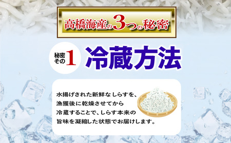 ちりめん 1kg 冷蔵 国産 徳島県産 新鮮 鮮度 しらす 魚 魚介類 小魚 ( 大人気ちりめん 人気ちりめん 絶品ちりめん 至高ちりめん 贅沢ちりめん 豪華ちりめん 国産ちりめん 徳島県産ちりめん 