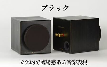 世界最小の本格オーディオ 真空管オーディオセット  オーディオ 〈 オーディオスピーカー オーディオ機器 ブラックスピーカー シルバーアンプ MHaudio 〉