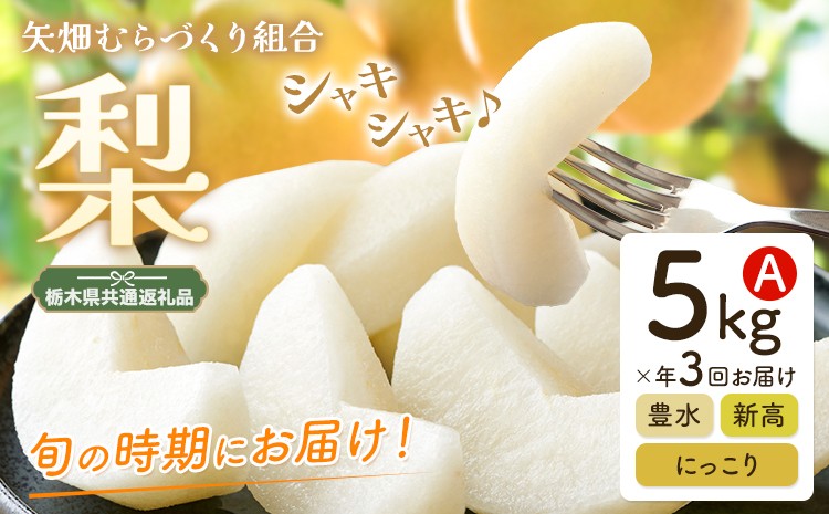 
                  梨 定期便 5kg 計3回 矢畑むらづくり組合《8月下旬-10月中旬頃出荷》栃木県 野木町 お楽しみ フルーツ 食べ比べ 豊水梨 にっこり梨 新高梨 栃木産 果物【栃木県共通返礼品　栃木県産】【配送不可地域あり】(離島)
                