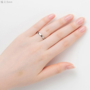純チタン平打リング (幅2.5mm) 13号 | アクセサリー リング