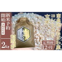 【ふるさと納税】【新米予約・令和6年産】定期便12ヶ月：●玄米●2Kg 生産者限定 南魚沼しおざわ産コシヒカリ | お米 こめ 食品 人気 おすすめ 送料無料