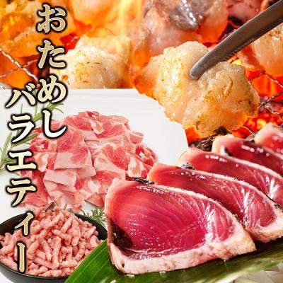 ふるさと納税 枕崎市 おためしバラエティー A0-19