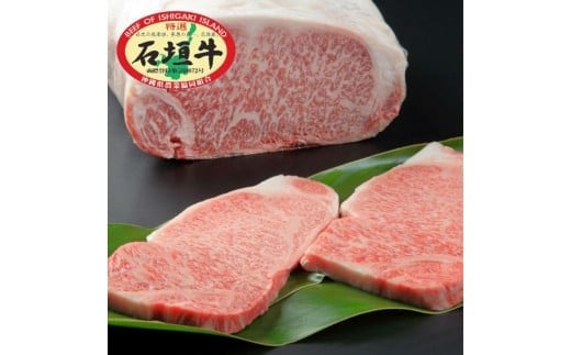 
            石垣牛 特選 サーロインステーキ 250g×2枚  沖縄県 石垣市 石垣島 サーロイン 牛肉 黒毛和牛 E-51
          