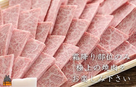 《年末お届け！》毎回約700頭から厳選された 鹿児島黒毛和牛 霜降り焼肉 600g ( 12月配送 年末 年始 お正月 厳選 プレミアム 高品質 鹿児島黒毛和牛 黒毛和牛 牛肉 徳之島 奄美 鹿児島 