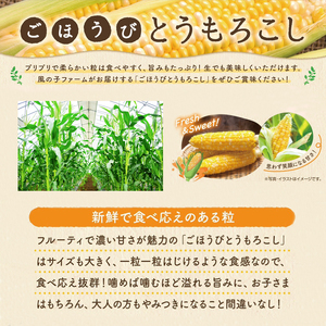 【 予約受付 】 朝どれ トウモロコシ 5本 ごほうびとうもろこし とうもろこし トウキビ 株式会社風の子ファーム 埼玉県 羽生市