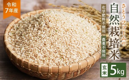 【令和7年産】さとうファームの自然栽培米（玄米5kg）ふっくら つやつや おいしい 美味しい 贈り物 単一原料米