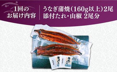 【全12回定期便】福岡県産 うなぎ 蒲焼 大2尾 計320g [VAD013] 国産 うなぎ