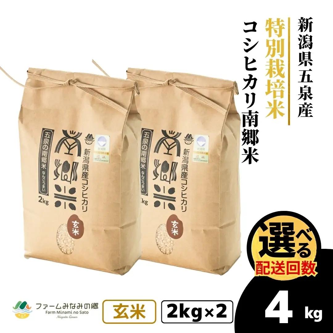 【先行予約】令和8年産 新米 コシヒカリ 玄米 南郷米 4kg(2kg×2袋) 特別栽培米【10月上旬発送開始】 | 新潟県産 米 五泉市