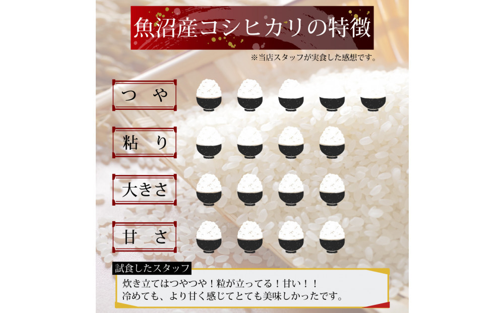 【定期便6回】令和7年産 新潟県 魚沼産 無洗米 コシヒカリ2kg 精米 一等米  天糧