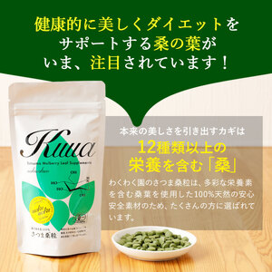 a1018 ≪定期便・全3回≫ さつま桑粒 (270粒入×3ヶ月)【わくわく園】姶良市 桑の葉 サプリメント 天然100％ オーガニック ダイエット 有機 JAS