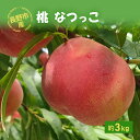 【ふるさと納税】長野市産桃「なつっこ」約3kg　長野市　お届け：2024年8月上旬～中旬