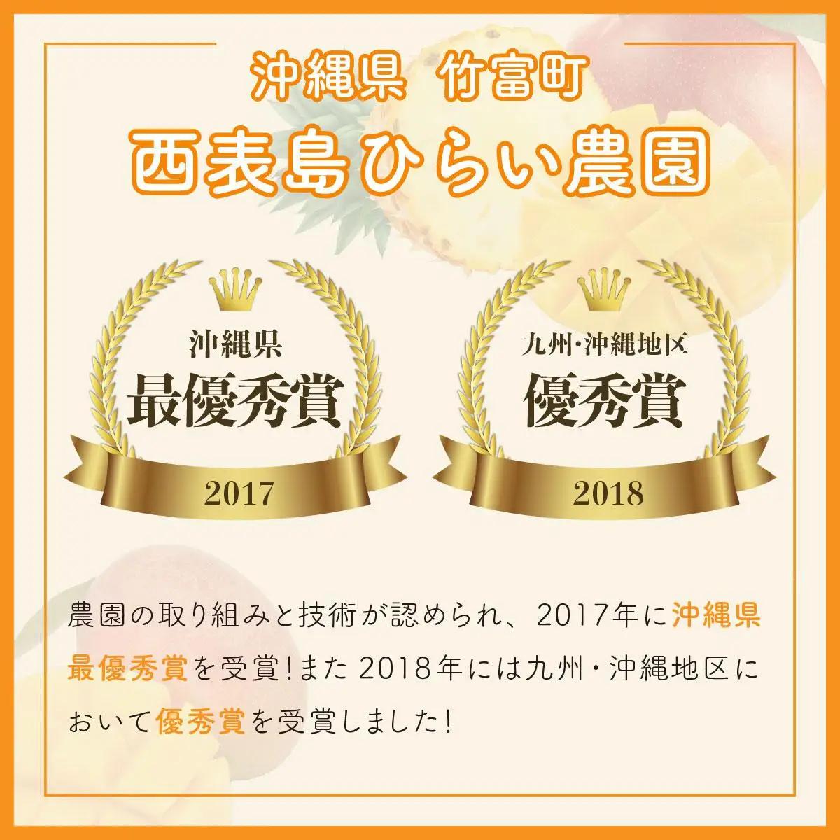 【2027年 先行予約】アップルマンゴー 約700g 