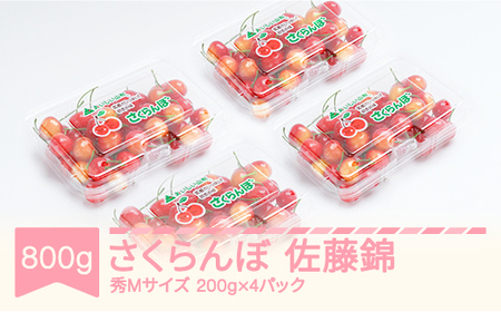 先行予約 さくらんぼ 佐藤錦 秀Mサイズ 800g (200gx4パック) フードパック 2025年産 令和7年産 山形県産 ns-snsmp800