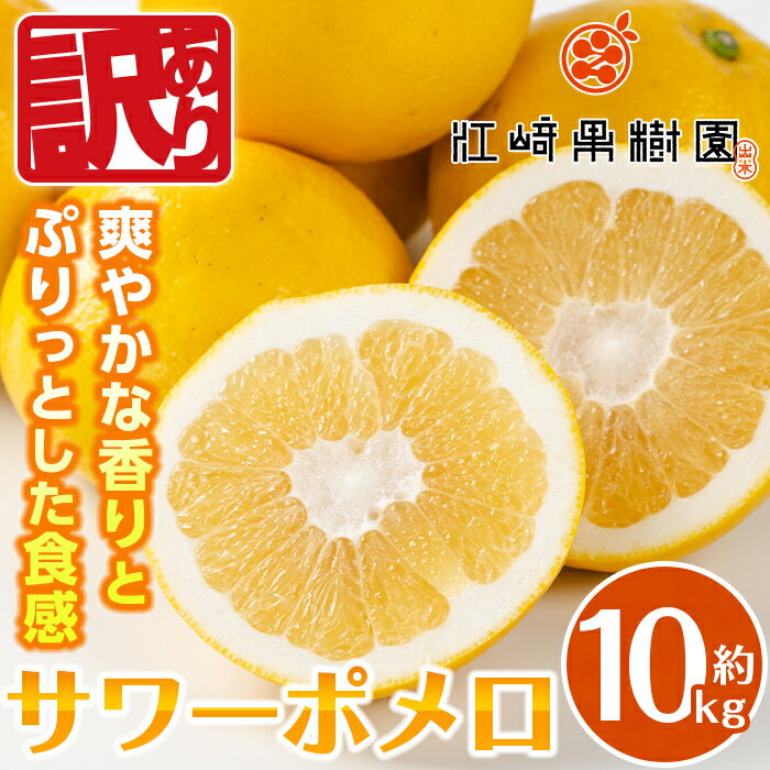 【ふるさと納税】＜2026年3月上旬～5月下旬の間に発送予定＞＜訳あり＞サワーポメロ(約10kg) 柑橘 サワーポメロ 鹿児島県 国産 果物 フルーツ みかん 文旦 ボンタン 訳あり【江崎果樹園】