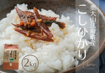 【令和7年産】コシヒカリ 2kg 特別栽培米 鳥取県江府町産 こしひかり 精米 産地直送 お試し 2ｷﾛ 0930