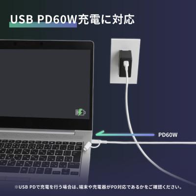 ふるさと納税 海老名市 PD60W充電/データ転送 USBType-CtoType-C/Lightning2in1ケーブル |  | 03