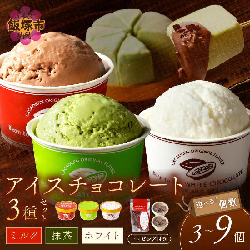 【ふるさと納税】＼個数が選べる／カカオ研究所 アイスチョコレートセット 3個 6個 9個 チョコレート ビーントゥバー Bean to Bar カカオ アイス アイスクリーム デザート 福岡 飯塚