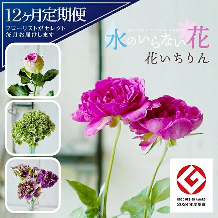 
            【12回定期便】水のいらない花　ゼロフラワー定期便「花いちりん」 SL0225
          