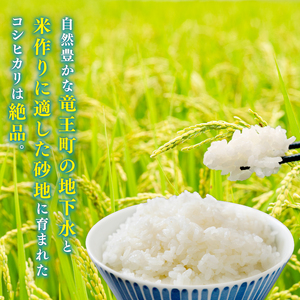 【 新米予約 】 特別栽培米 こしひかり 令和7年 米 5kg 白米 定期便 3ヶ月 計 15kg コシヒカリ 2025年産 国産 農家直送 コシヒカリ 5kg × 3回 国産 農家直送 環境こだわり