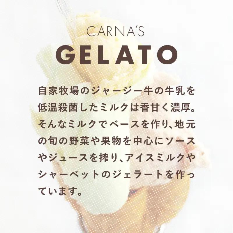 【全3回定期便・隔月お届け】素材の味を生かしたカルナのジェラート 100ml 8個セット｜ジェラート アイス スイーツ 牛乳 ミルク [E-3001]