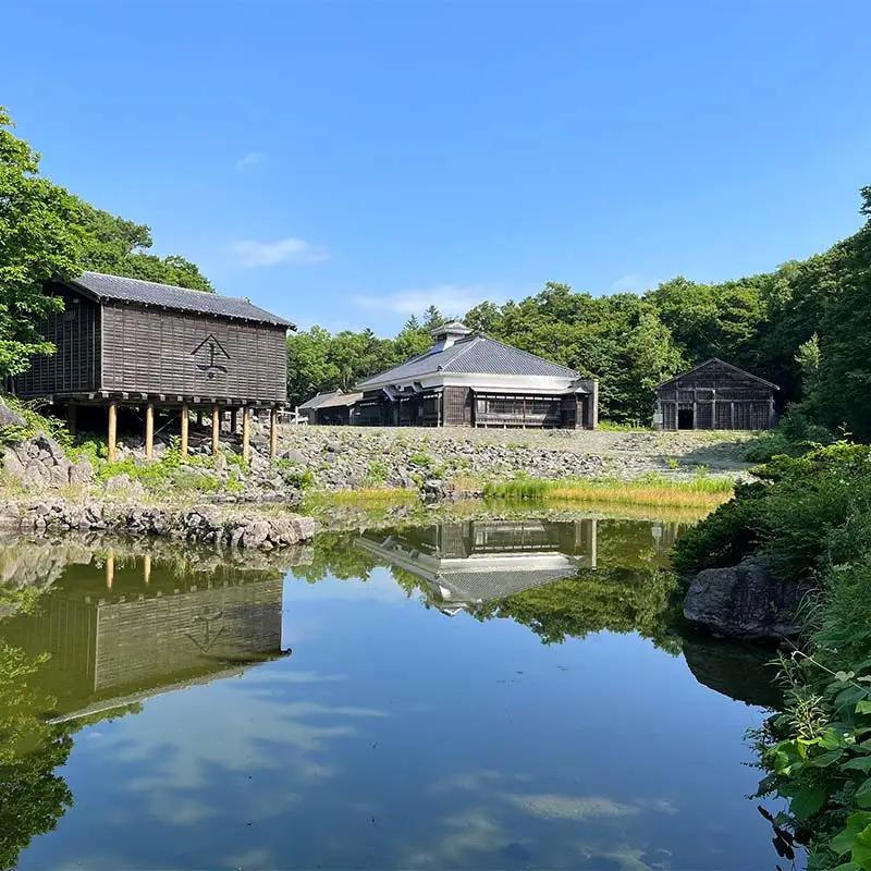 歴史と文化の北海道3館共通券 一般1名様分 人気 おすすめ 利用券 チケット F6S-519