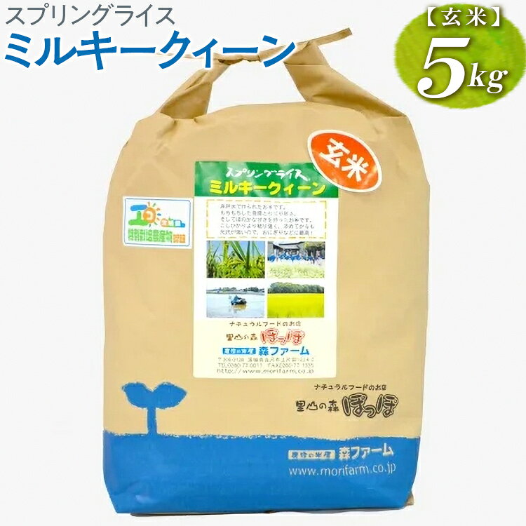 【ふるさと納税】【新米】スプリングライス ミルキークィーン (玄米) 5kg｜米 コメ こめ ごはん ご飯 ゴハン スプリング ライス ミルキー クイーン 水 こだわり 地下水 5kg 贈答 玄米 ビタミン ミネラル 食物繊維 ギフト 贈答 贈り物 プレゼント ※2026年9月〜発送 _BI62