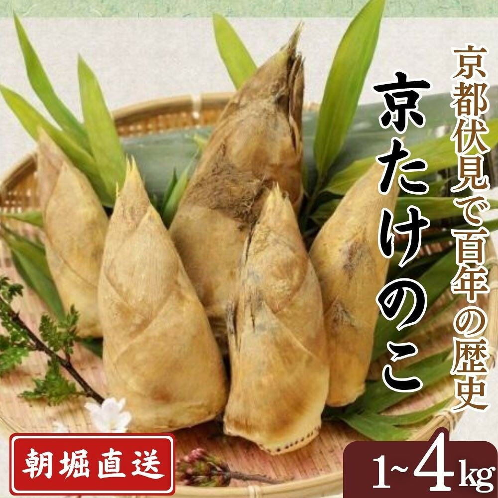 【ふるさと納税】予約受付【筍農家】京都産 朝堀り たけのこ 優秀品 1kg～4kg [ 京都 筍専門店 たけのこ 朝掘り直送 新鮮 人気 おすすめ おいしい タケノコ 季節限定 お取り寄せ 通販 送料無料 ふるさと納税 ]