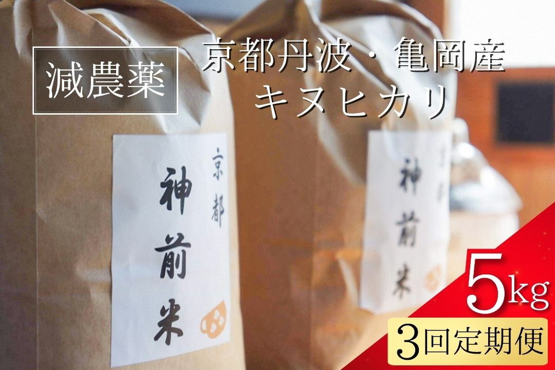 【令和7年産】新米 先行予約 5kg ×3回 京都・神前米 キヌヒカリ 5kg × 3ヶ月 計15kg ☆精米したてをお届け ※2025年9月下旬以降順次発送 ≪減農薬 自家栽培米 生産農家 直送 米 精米 クリーン白米≫