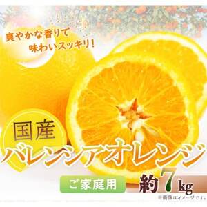 【2026年6月下旬頃発送】【ご家庭用訳あり】希少な国産バレンシアオレンジ　7kg【日高町】【配送不可地域：離島】【1216981】