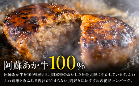 阿蘇あか牛ハンバーグ 400g 100g × 4個 株式会社LARKS《30日以内に出荷予定(土日祝除く)》ハンバーグ あか牛 牛肉 熊本県 冷凍 送料無料