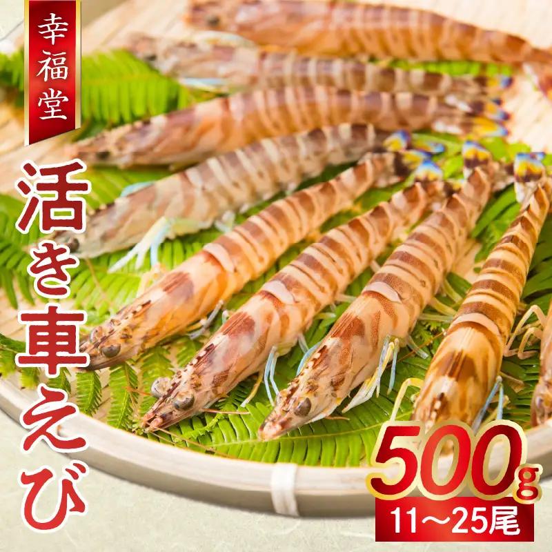 【鮮度抜群】厳選・幸福堂の活き車えび(500g)〈先行予約〉