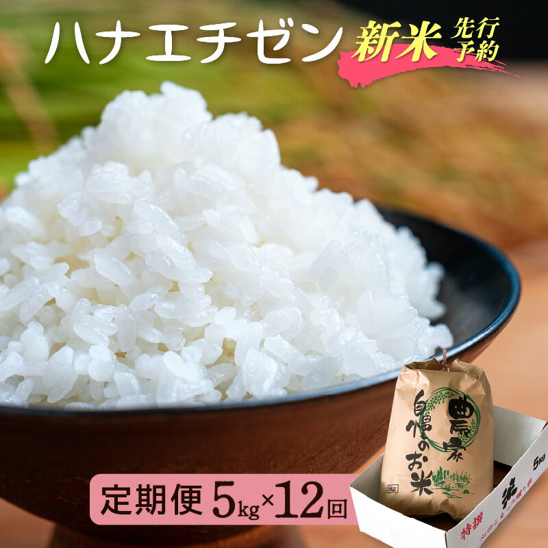 【ふるさと納税】【楽天限定】令和8年【新米】定期便≪12ヶ月連続お届け≫ハナエチゼン 5kg×12回（計60kg）【華越前 はなえちぜん 人気品種 こしひかり 血統品種】【 玄米 対応可 】【2026年8月下旬以降発送開始！】 [e35-m001]
