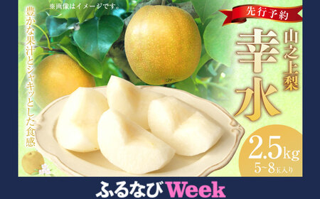 《先行予約》｢丸坂山田農園｣ 山之上梨 幸水 1箱 （ 約2.5kg ／ 5～8玉 ） 【2026年8月上旬～8月下旬 発送予定】 │  梨 ナシ なし くだもの 果物 果実 フルーツ 冷蔵 岐阜県産 国産