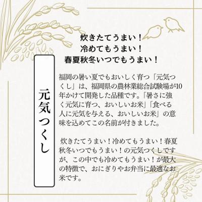 ふるさと納税 宇美町 【無洗米】元気つくし 《真空パック》 10kg(1kg×10本) 福岡県産(宇美町) |  | 02