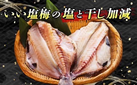 厳選したツボダイを一夜干しにした 「つぼ鯛(半身100g)」6個セット【配送不可地域：離島】