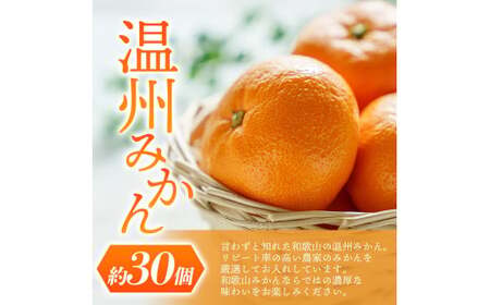 【先行予約】 道の駅くしがきの里セット 富有柿3個・温州みかん約30個の詰め合わせ こだわり農家厳選  【2026年11月上旬～12月中旬頃順次発送】/ みかん 温州みかん 柿 富有柿 かき 詰め合わ