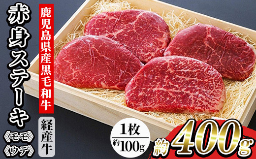 鹿児島県産 黒毛和牛（経産和牛） 赤身 ステーキ 約400g（100g×4枚） 国産 冷凍 小分け 尾崎牧場産【00-030-24】