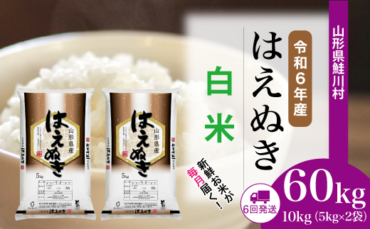 ＜令和6年産米＞ 山形県産 はえぬき 【白米】60kg定期便(10kg×6回)　配送時期指定できます！