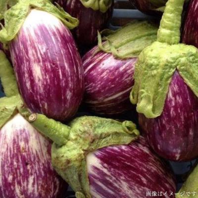 ふるさと納税 糸島市 【全6回定期便】糸島産 朝採れ 温野菜&生食野菜セット オーガニックナガミツファーム[AGE020] |  | 01