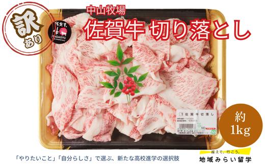 
                  【訳あり】中山牧場 佐賀牛切り落とし1kg
                