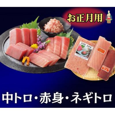 ふるさと納税 三浦市 お正月用　メバチ鮪セット(神奈川県漁連)