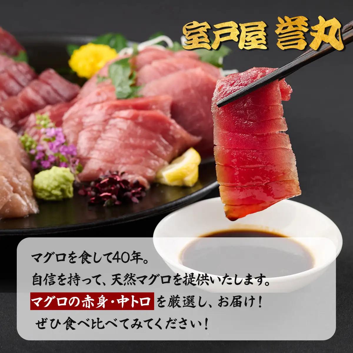 厳選メバチマグロ赤身、中トロ食べくらべ【誉丸】【まぐろまぐろまぐろまぐろまぐろまぐろまぐろまぐろまぐろまぐろまぐろまぐろまぐろ】mh014