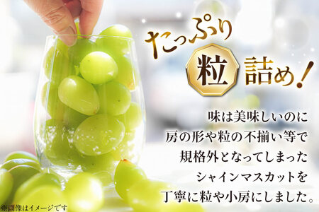 【2026年発送】シャインマスカット 訳あり家庭用 粒 にてお届け 約1kg 山梨県産 冷蔵発送 果物 フルーツ 山梨 ぶどう マスカット ブドウ 葡萄 規格外 期間限定 季節限定 冷蔵